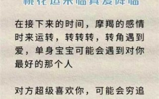 摩羯座佩戴什么可以招桃花运呢