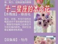 摩羯座代表着什么样子的花