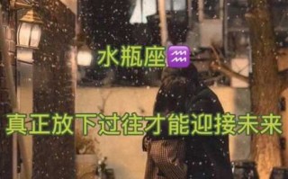 水瓶座很容易放下么