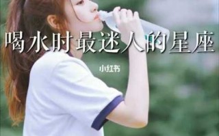 射手座适合上什么大学