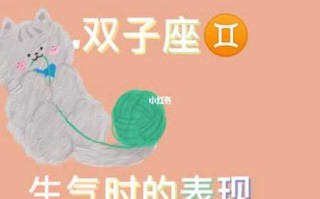 双子女为什么容易生气