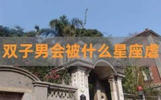 双子男会被什么星座虐