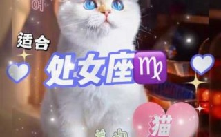 处女座适合养狗还是猫