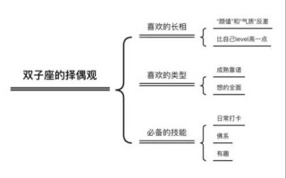 双子座女生的择偶观