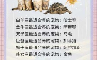 双子座适合养什么动物植物