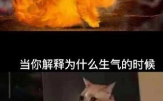 狮子座生气会怎么样?