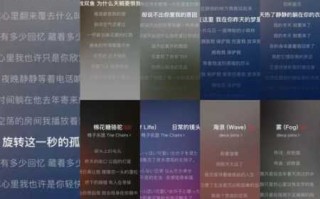 双鱼座的寂寞歌曲是什么