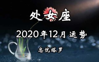 处女座2020年十二月份运势