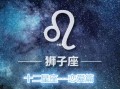 狮子座与其它星座之互虐