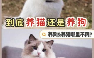 天蝎座适合养狗还是猫