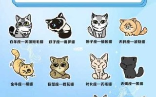 水瓶座最适合的宠物猫名字