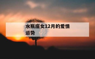 水瓶座12月份爱情运势