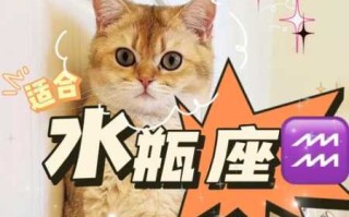 水瓶座养猫好还是养狗好