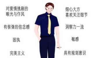 处女座男生适合什么职业