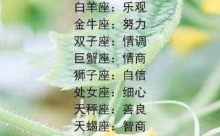 白羊座颜值排第几名