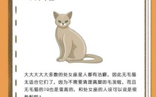 处女座适合养什么品种的猫