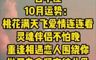 白羊座的最佳灵魂伴侣是谁