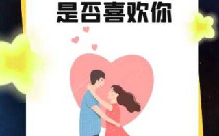 双子男说挺喜欢你的什么意思