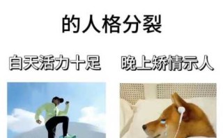 双子座怎么克服胆小