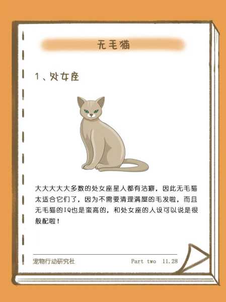 处女座适合养什么品种的猫