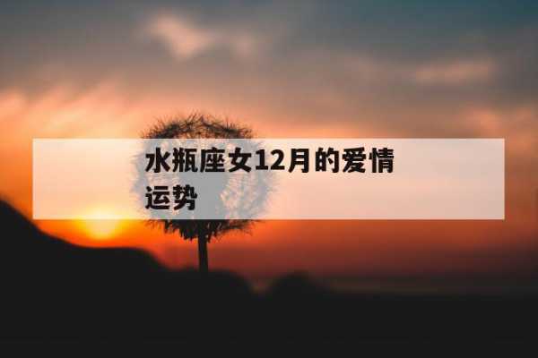 水瓶座12月份爱情运势