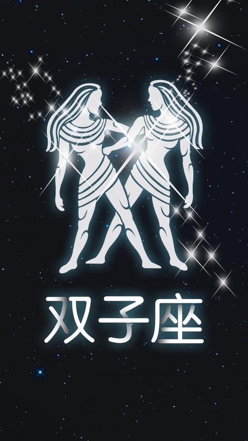 适合双子星座的星座