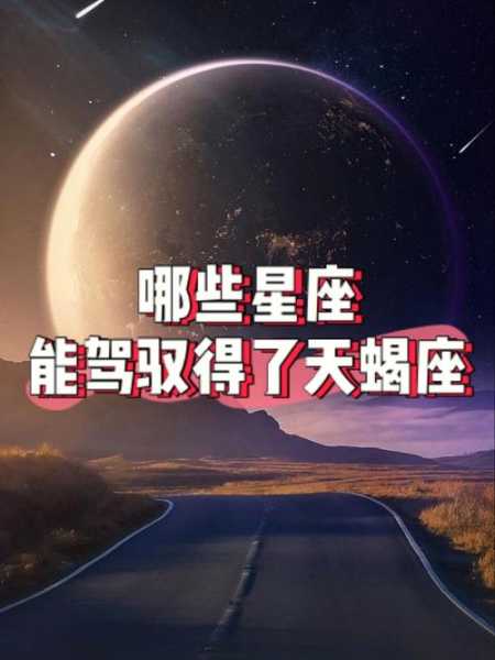 什么星座能驾驭天蝎座