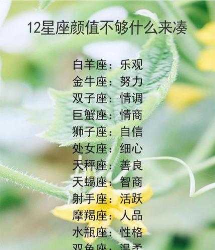 白羊座颜值排第几名