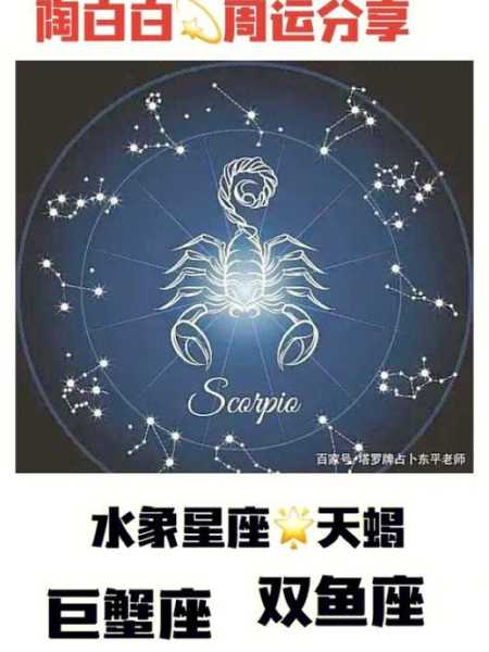 天蝎是水象星座吗?