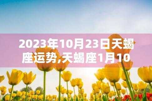 天蝎座10月运势查询2023年