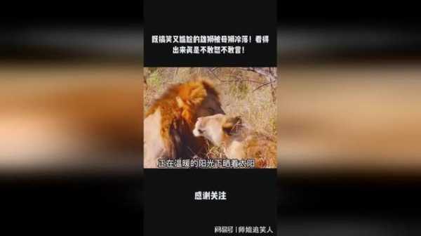 狮子男被冷落还会主动吗