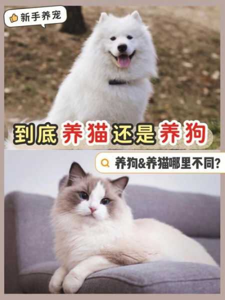 天蝎座适合养狗还是猫