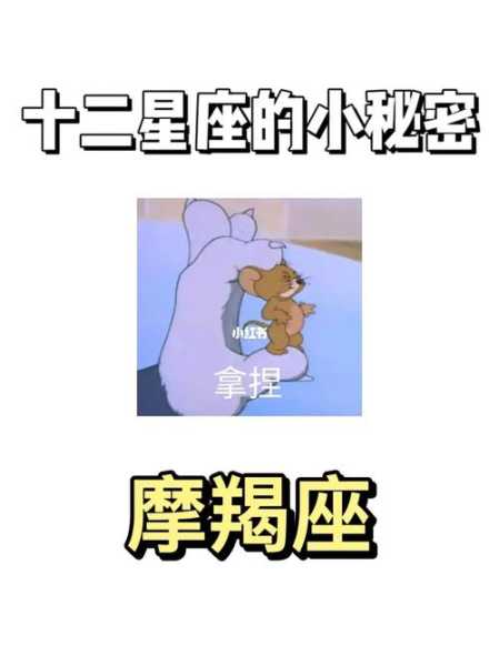 摩羯座爱情的秘密有什么特点