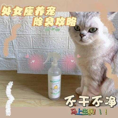 处女座适合养什么狗和猫