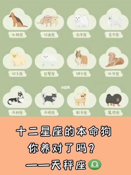 天秤座适合养什么狗或猫