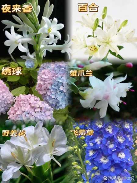 巨蟹座幸运花是什么花?