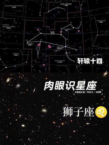 狮子座新月对十二星座的影响