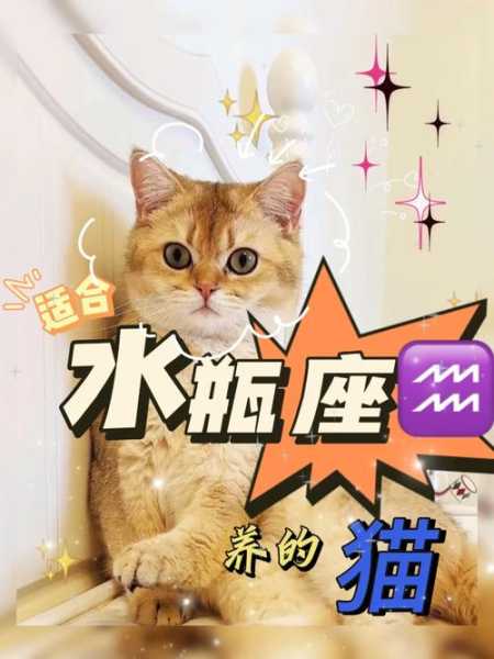 水瓶座养猫好还是养狗好